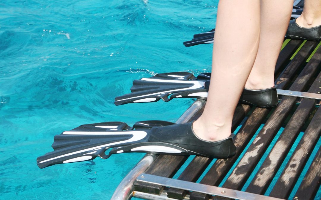 Unforgettable Marine Experiences in Cancun With Krystal International Vacation Club